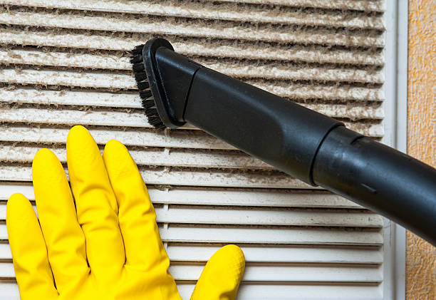Best Air Duct Mold Removal  in West Hazleton, PA